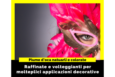 Piume d'oca naturali e colorate per creare accessori 