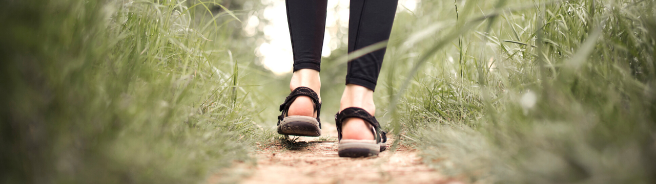 Polipropilene Polipropilene